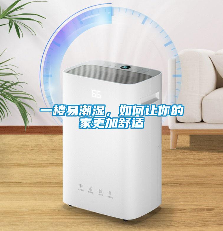 一樓易潮濕，如何讓你的家更加舒適