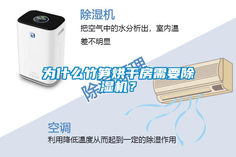 為什么竹筍烘干房需要除濕機？