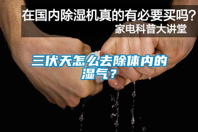 三伏天怎么去除體內的濕氣？