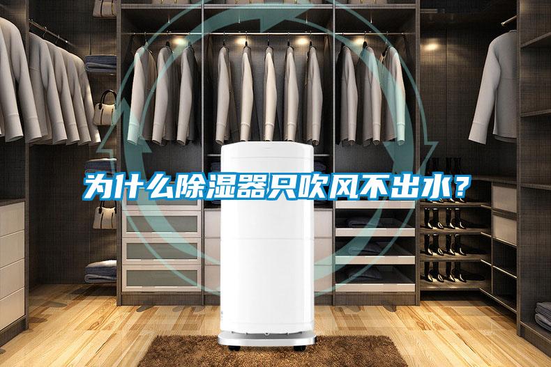 為什么除濕器只吹風不出水？