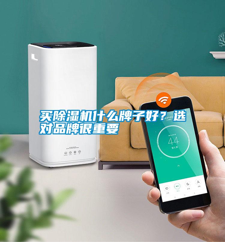 買除濕機(jī)什么牌子好？選對(duì)品牌很重要