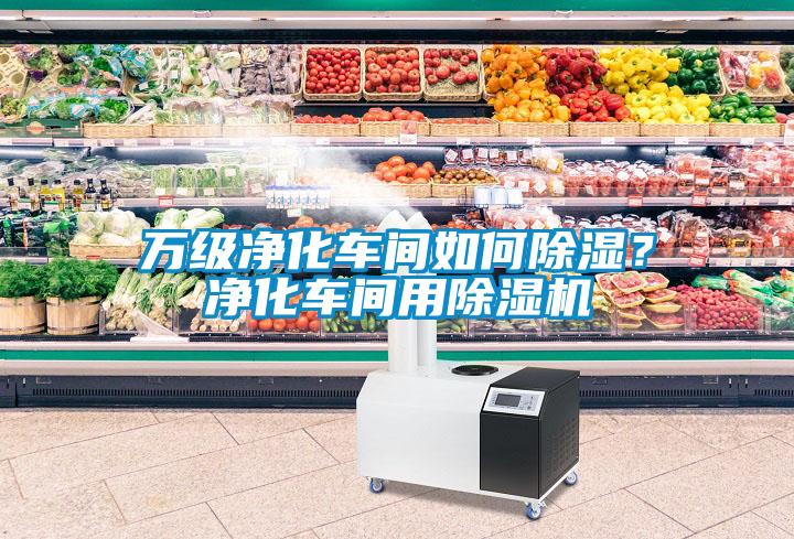 萬級凈化車間如何除濕？凈化車間用除濕機