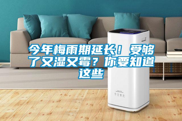 今年梅雨期延長(zhǎng)！受夠了又濕又霉？你要知道這些