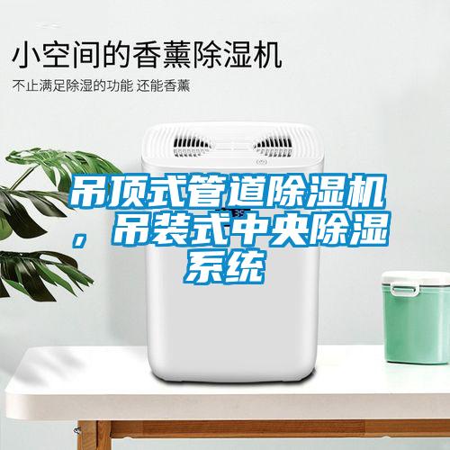 吊頂式管道除濕機(jī)，吊裝式中央除濕系統(tǒng)