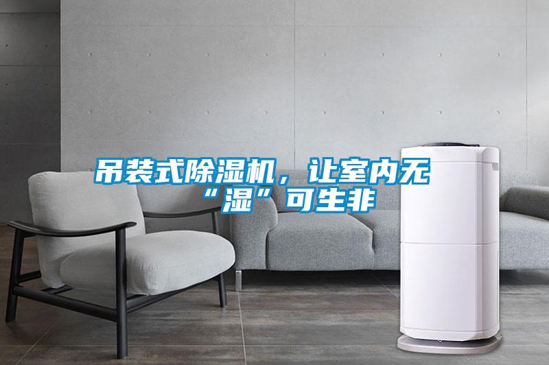 吊裝式除濕機(jī)，讓室內(nèi)無“濕”可生非