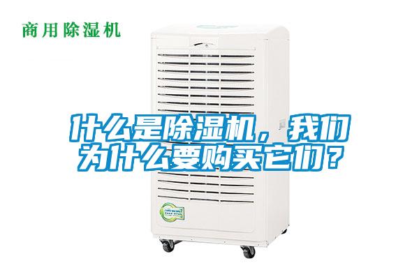 什么是除濕機，我們為什么要購買它們？