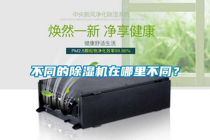 不同的除濕機在哪里不同？