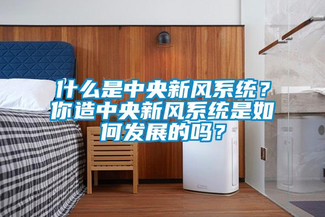 什么是中央新風系統(tǒng)？你造中央新風系統(tǒng)是如何發(fā)展的嗎？