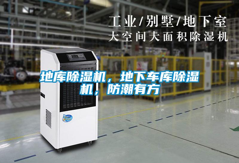 地庫(kù)除濕機(jī)，地下車庫(kù)除濕機(jī)，防潮有方
