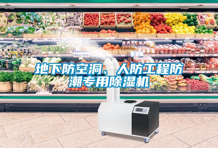 地下防空洞、人防工程防潮專用除濕機(jī)
