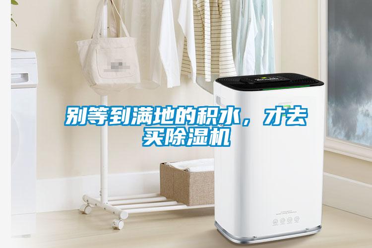 別等到滿地的積水，才去買除濕機