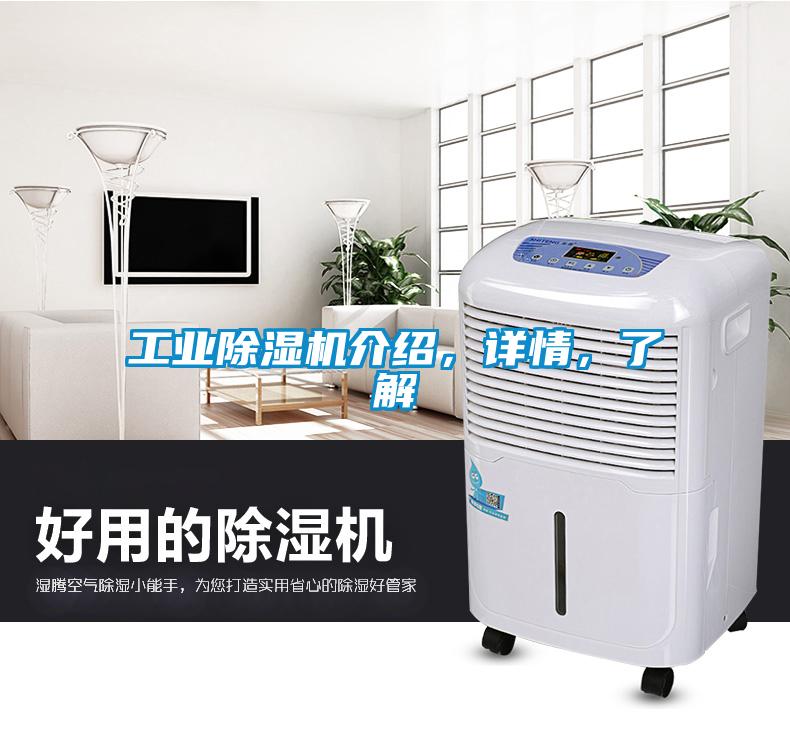 工業(yè)除濕機介紹，詳情，了解