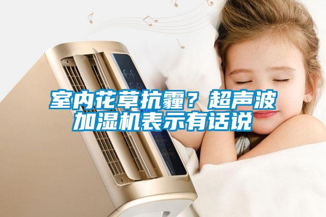 室內(nèi)花草抗霾？超聲波加濕機(jī)表示有話(huà)說(shuō)