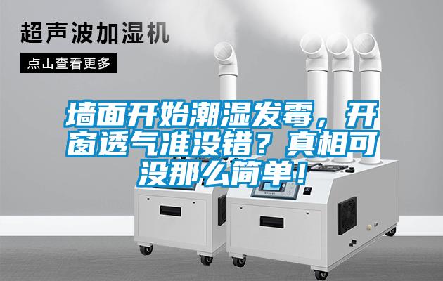 墻面開始潮濕發霉，開窗透氣準沒錯？真相可沒那么簡單！
