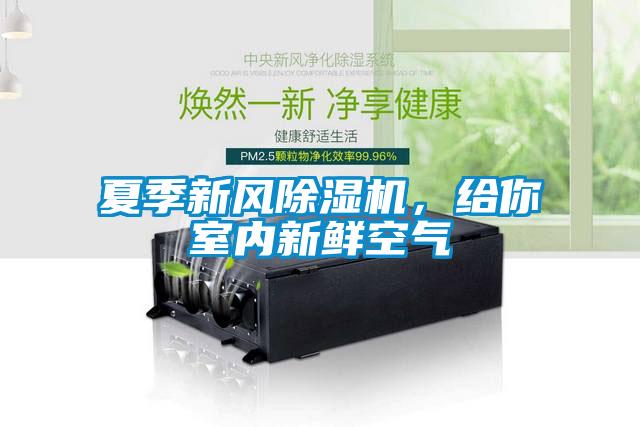 夏季新風除濕機，給你室內(nèi)新鮮空氣