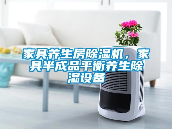 家具養生房除濕機，家具半成品平衡養生除濕設備