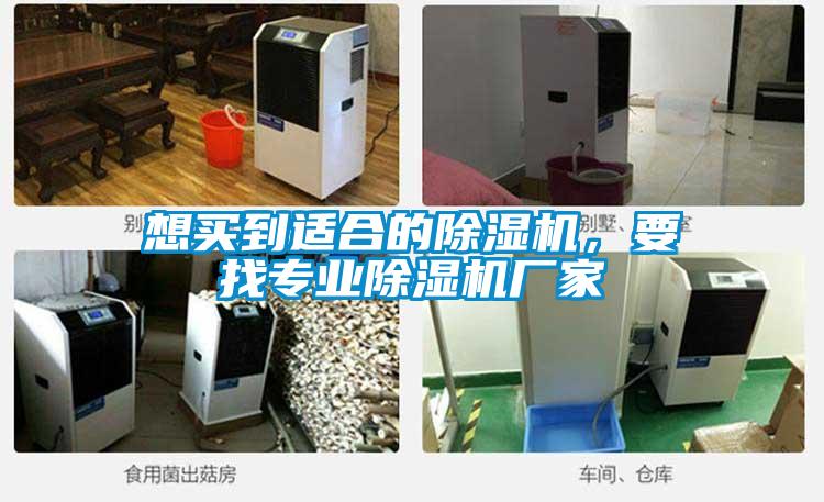 想買(mǎi)到適合的除濕機(jī)，要找專(zhuān)業(yè)除濕機(jī)廠家