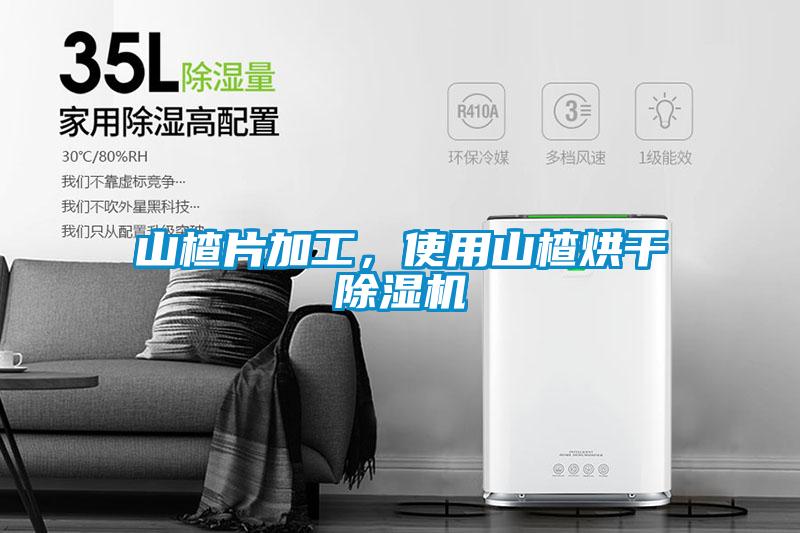 山楂片加工，使用山楂烘干除濕機