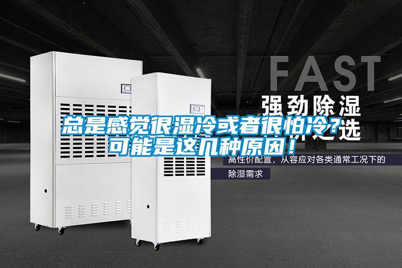 總是感覺(jué)很濕冷或者很怕冷？可能是這幾種原因！