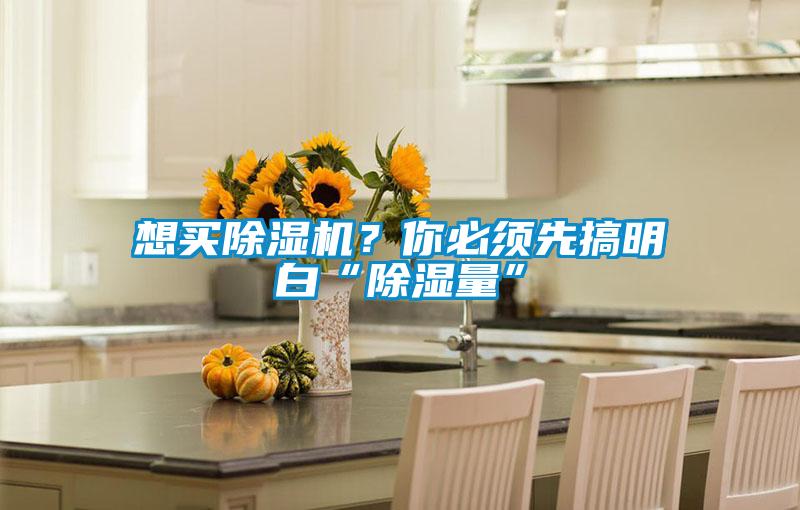 想買除濕機？你必須先搞明白“除濕量”