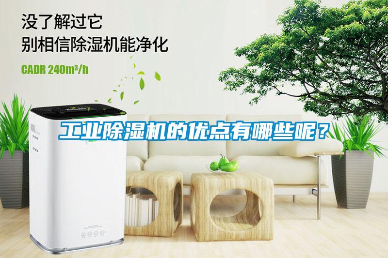 工業(yè)除濕機(jī)的優(yōu)點(diǎn)有哪些呢？