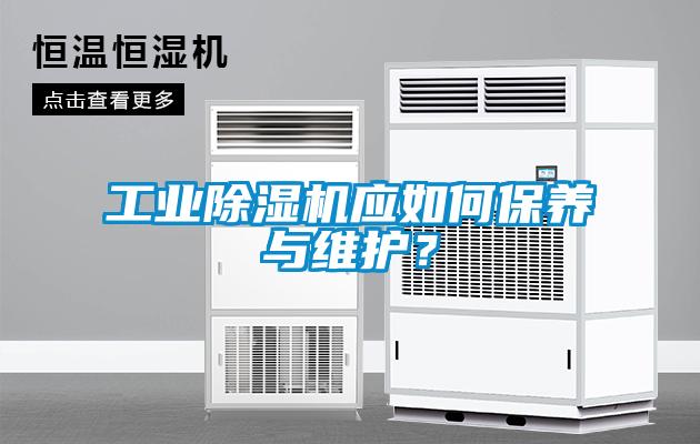 工業(yè)除濕機應如何保養(yǎng)與維護？