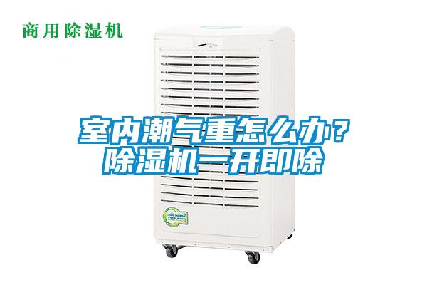 室內(nèi)潮氣重怎么辦？除濕機(jī)一開(kāi)即除
