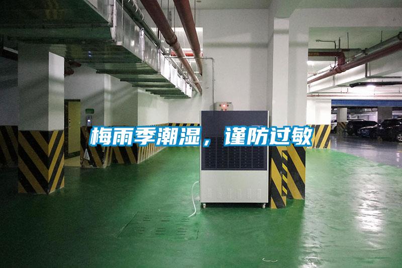 梅雨季潮濕，謹防過敏