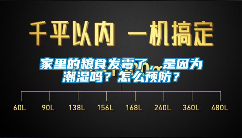 家里的糧食發(fā)霉了，是因?yàn)槌睗駟幔吭趺搭A(yù)防？