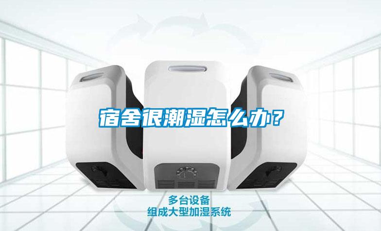 宿舍很潮濕怎么辦？