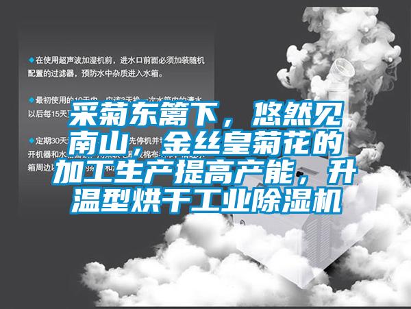采菊東籬下，悠然見(jiàn)南山，金絲皇菊花的加工生產(chǎn)提高產(chǎn)能，升溫型烘干工業(yè)除濕機(jī)
