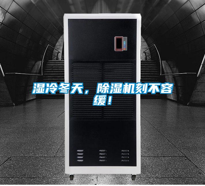 濕冷冬天，除濕機刻不容緩！