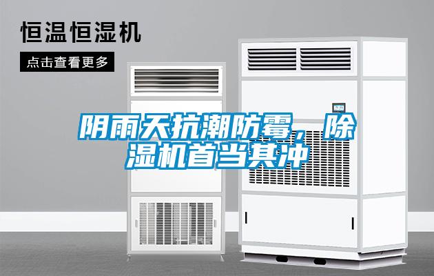陰雨天抗潮防霉，除濕機首當其沖