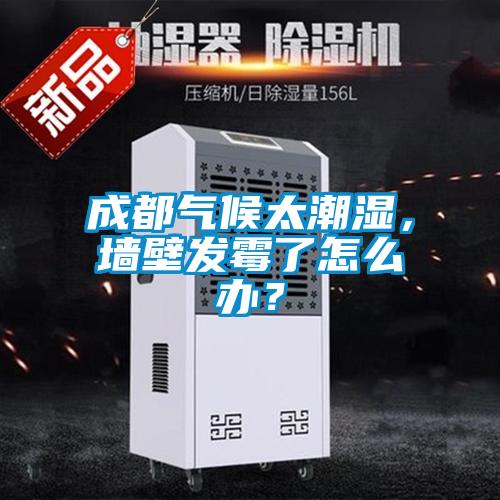 成都氣候太潮濕，墻壁發(fā)霉了怎么辦？