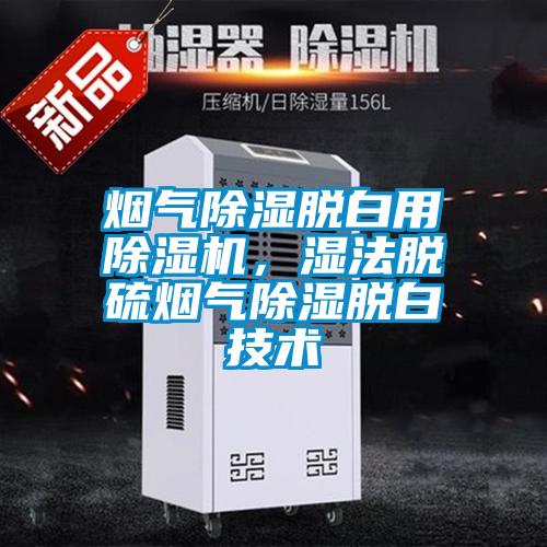 煙氣除濕脫白用除濕機(jī)，濕法脫硫煙氣除濕脫白技術(shù)