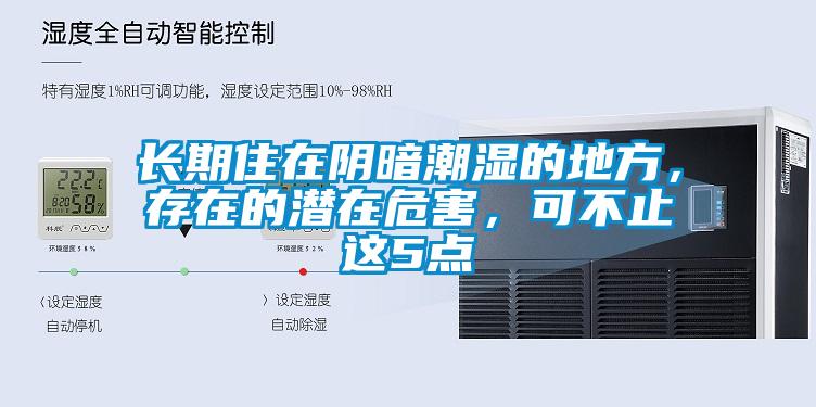 長期住在陰暗潮濕的地方，存在的潛在危害，可不止這5點