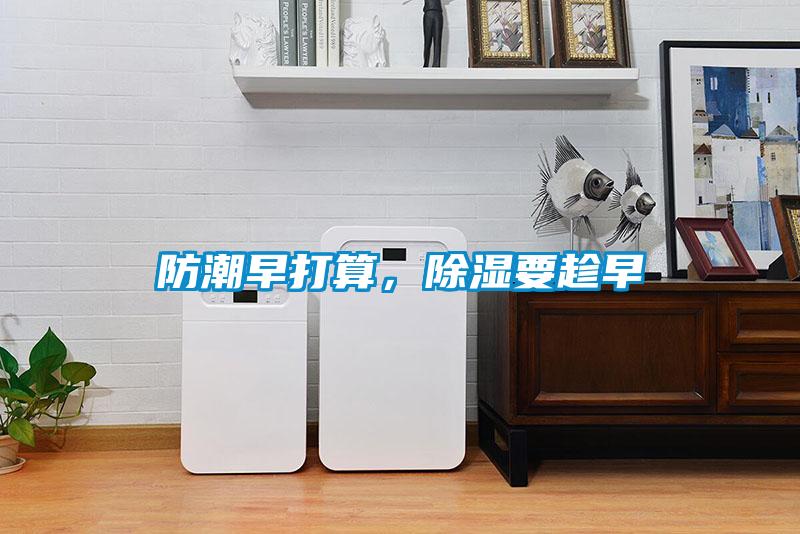 防潮早打算，除濕要趁早