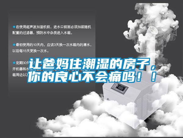 讓爸媽住潮濕的房子，你的良心不會痛嗎！！