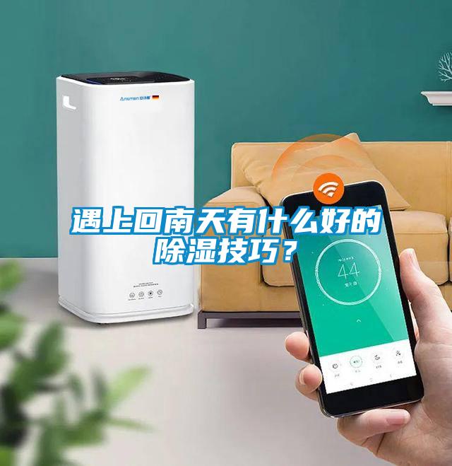 遇上回南天有什么好的除濕技巧？