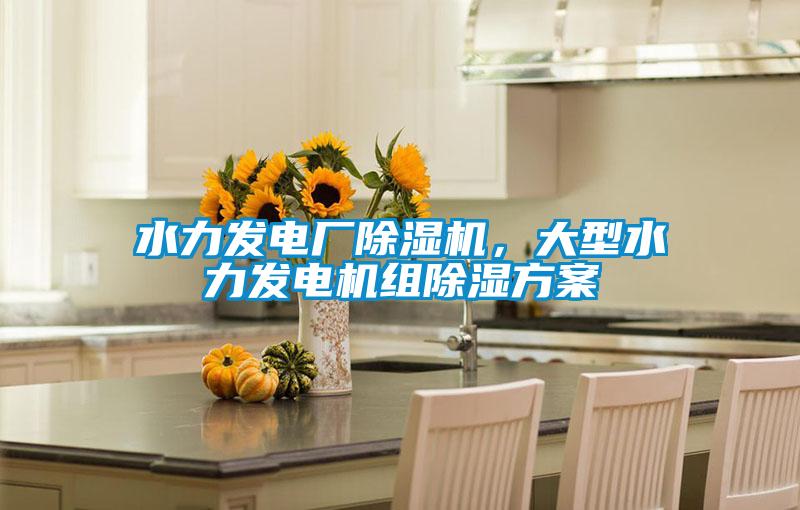 水力發(fā)電廠除濕機(jī)，大型水力發(fā)電機(jī)組除濕方案