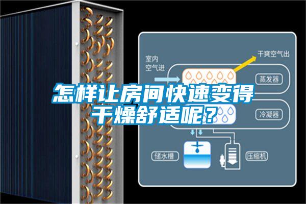 怎樣讓房間快速變得干燥舒適呢？