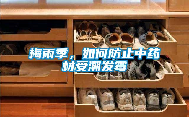 梅雨季，如何防止中藥材受潮發霉