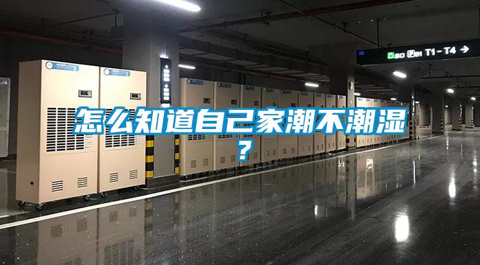 怎么知道自己家潮不潮濕？
