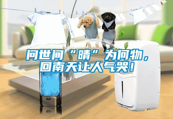 問世間“晴”為何物，回南天讓人氣哭！