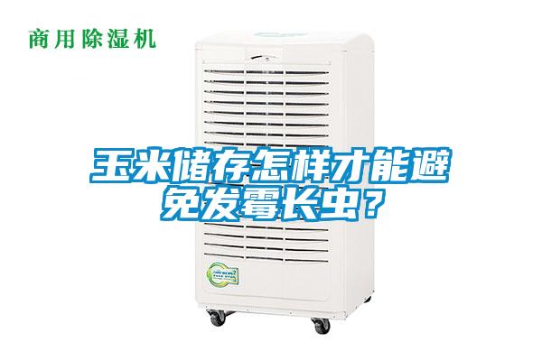 玉米儲存怎樣才能避免發(fā)霉長蟲？