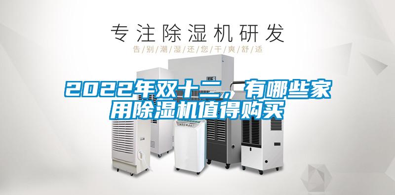 2022年雙十二，有哪些家用除濕機(jī)值得購買