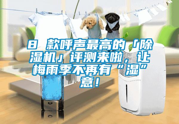 8 款呼聲最高的「除濕機」評測來啦，讓梅雨季不再有“濕”意！
