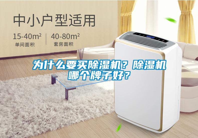 為什么要買除濕機？除濕機哪個牌子好？