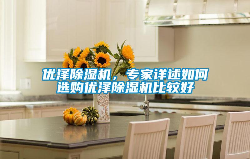 優澤除濕機，專家詳述如何選購優澤除濕機比較好