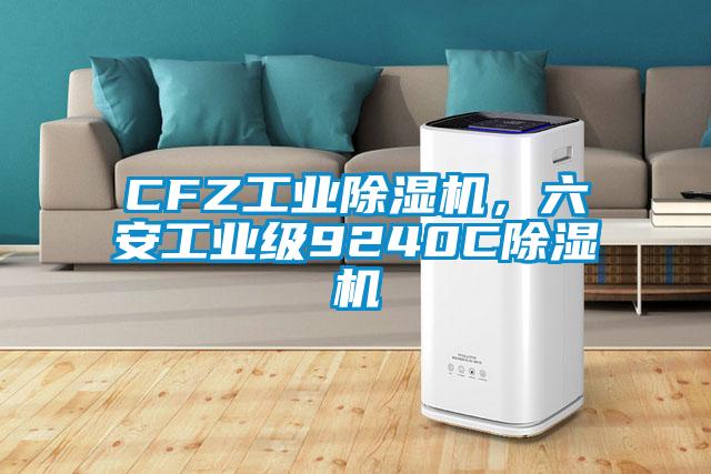 CFZ工業(yè)除濕機，六安工業(yè)級9240C除濕機